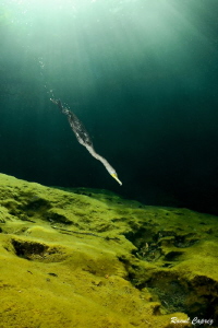 Flying arrow in rays of sun by Raoul Caprez 